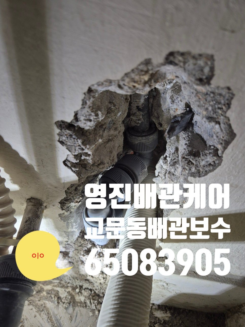 가져온 블로그 사진