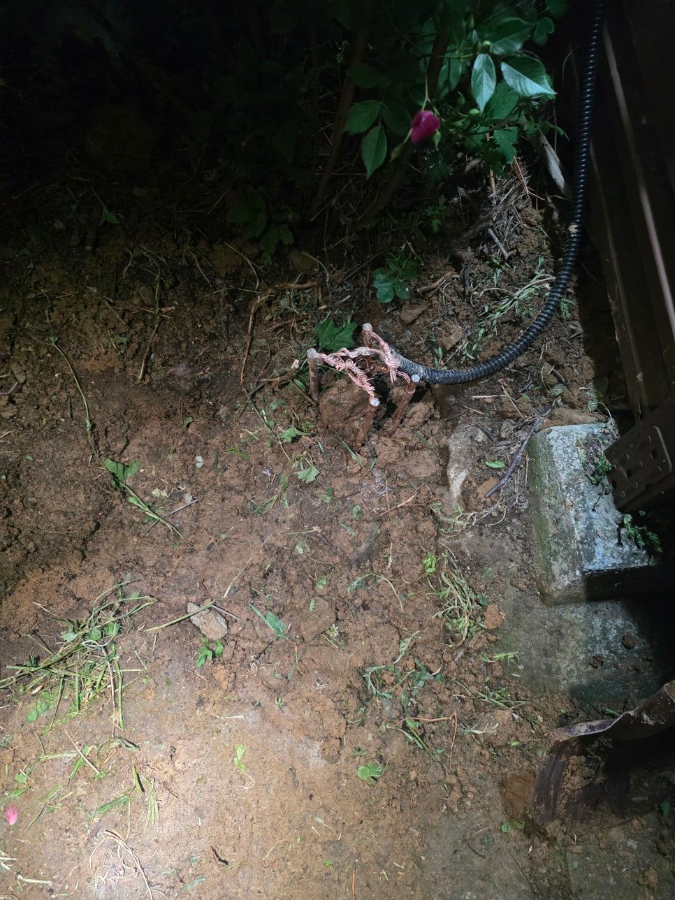 가져온 블로그 사진
